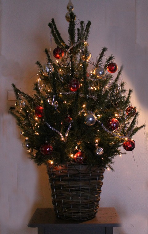 kerstboom-small
